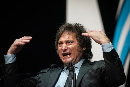 Javier Milei, voto libertario.