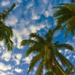 Soleado en República Dominicana