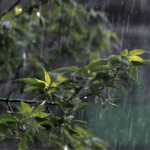 Precipitación / fuentes externas