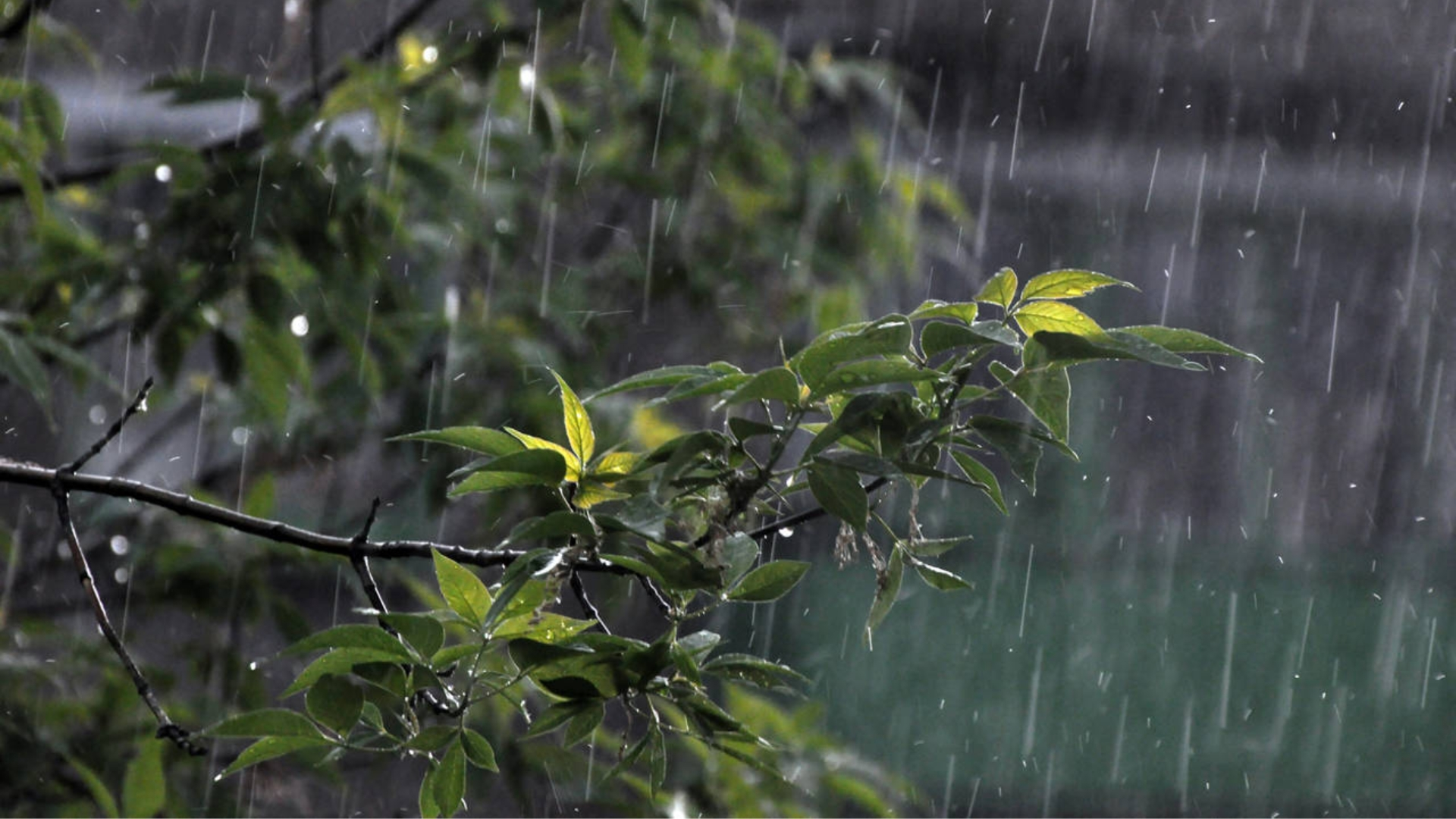 Aguaceros / Fuente externa
