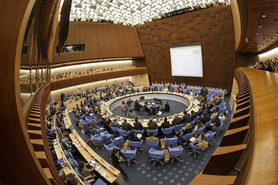 Organización Mundial de la Salud (OMS)
