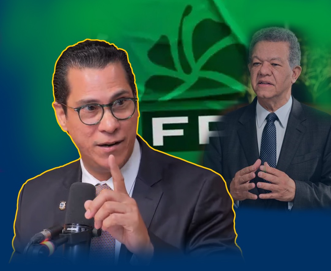 Diputado Michell FP