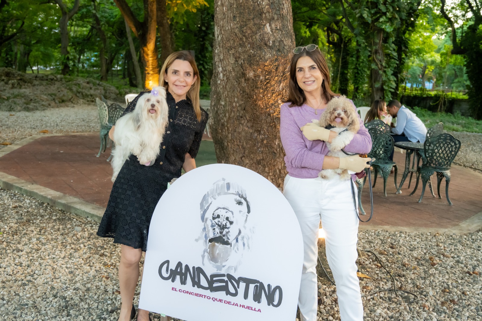 “Candestino” será libre de costos para toda la familia, y para los aportes voluntarios