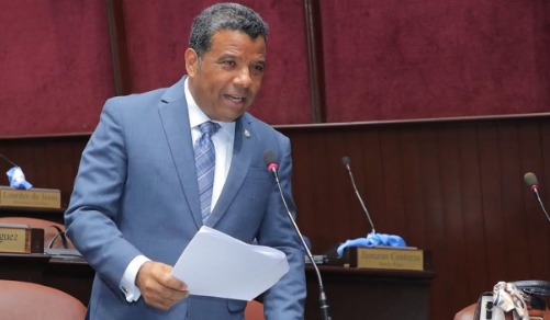 Diputado Julio César Beltré Méndez