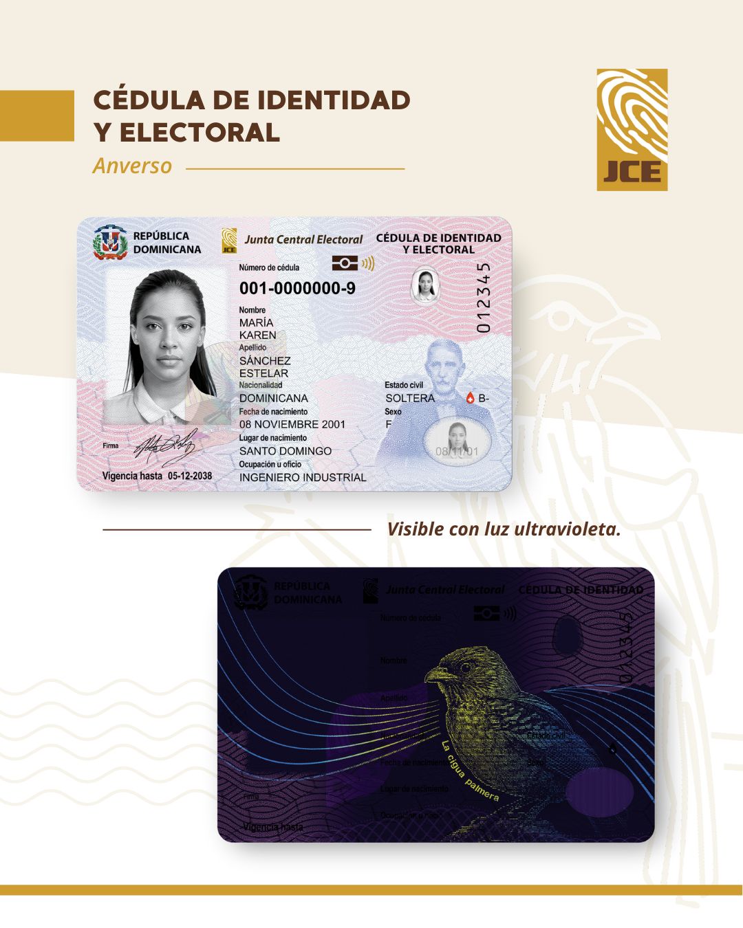 Diseño oficial de la nueva cédula