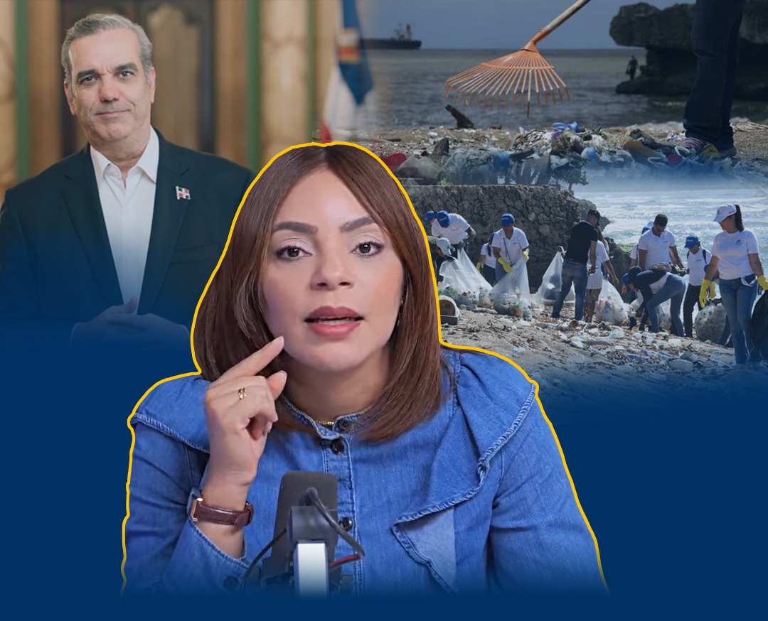 Dannira Caminero Foam 2026.