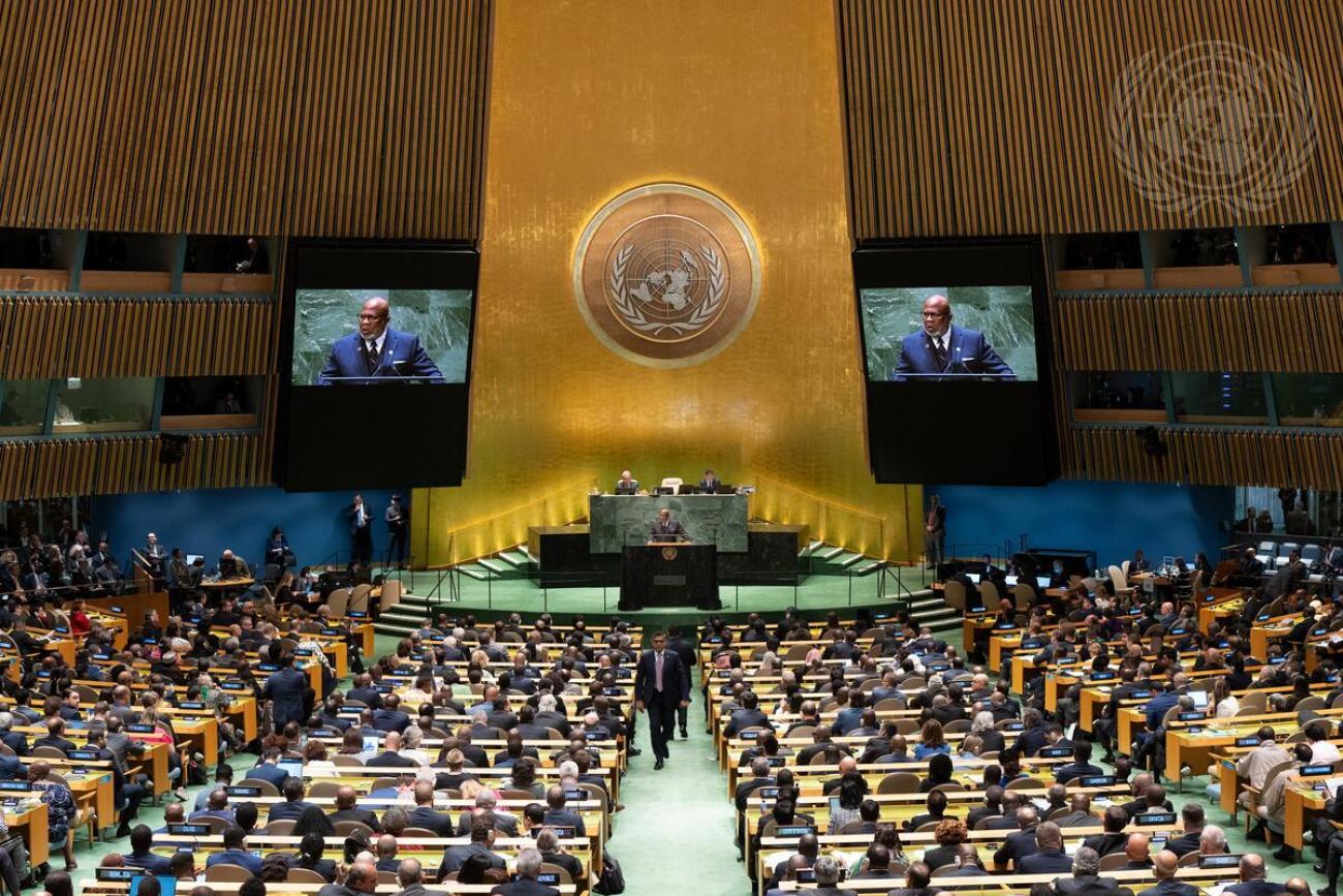 Asamblea General de la ONU