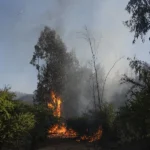 Incendio forestal en Chile.