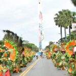 Desfile Nacional de Carnaval / Fuente externa