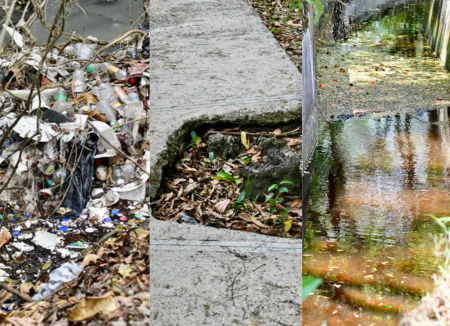 Deterioro en el pavimento, aceras y escalones parque Zoológico Nacional