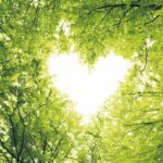 Un corazón envuelto en trozos de primavera