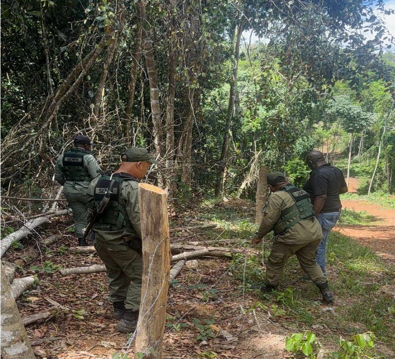 Tumban parcelas invadidas de forma ilegal en loma de Managua, Monte Plata