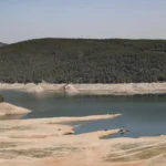 Sistema con IA anticipa sequías hasta con 6 meses de antelación