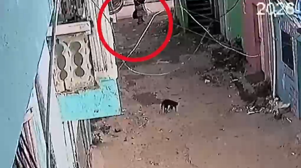 En imagen de videovigilancia casera se observa al nombrado “Wi-Fi” llevándose a la menor