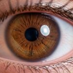 Diseñan una lente inteligente que administra su propio tratamiento y controla el glaucoma de manera autónoma