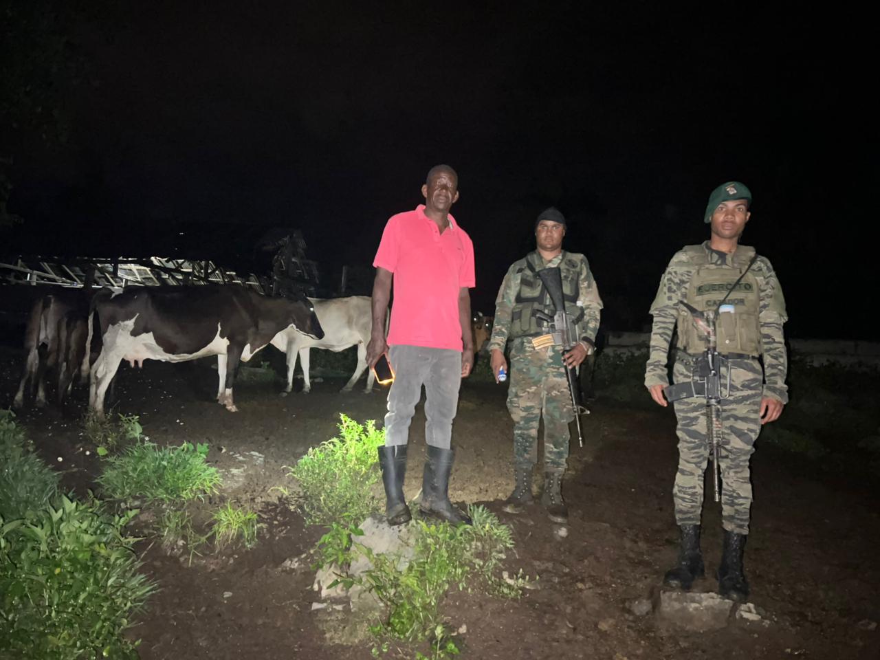 Autoridades recuperan 18 reses robadas en Loma de Cabrera, Dajabón