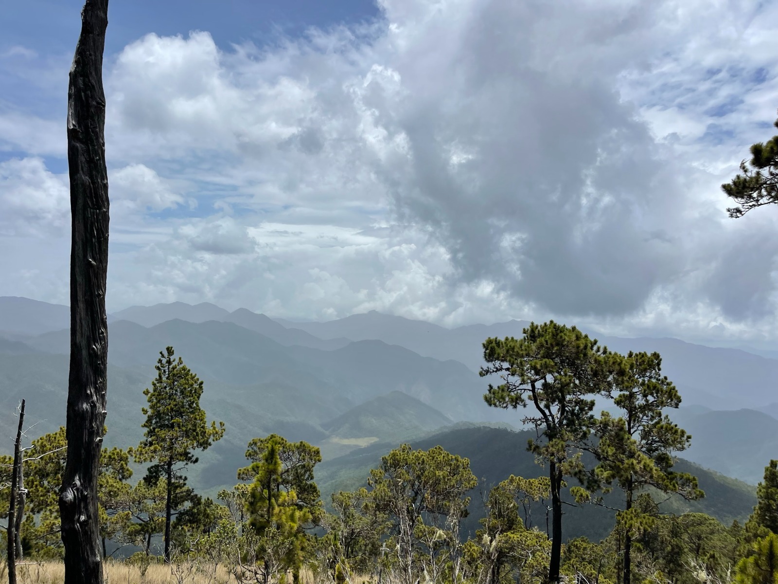 Autoridades activan protocolo de prevención en el Parque Nacional Armando Bermúdez tras alerta del COE