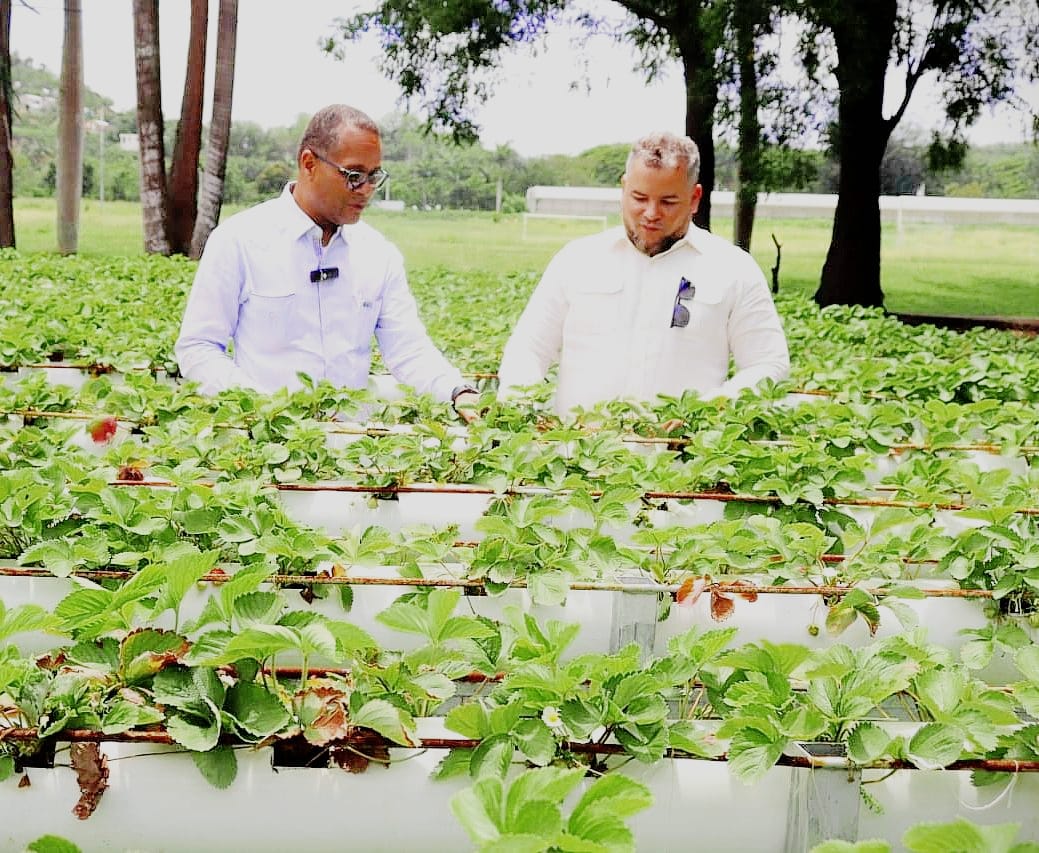 FEDA y Universidad ISA buscan impulsar la innovación tecnológica en el campo