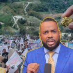 Elvin Castillo beneficios Romero.