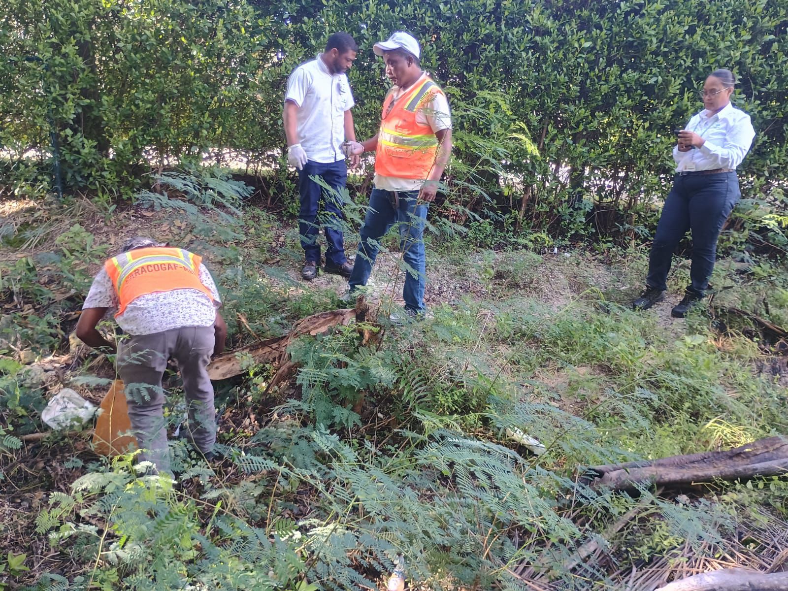 Agricultura paga suma millonaria a técnicos y jornaleros de programas sanitarios