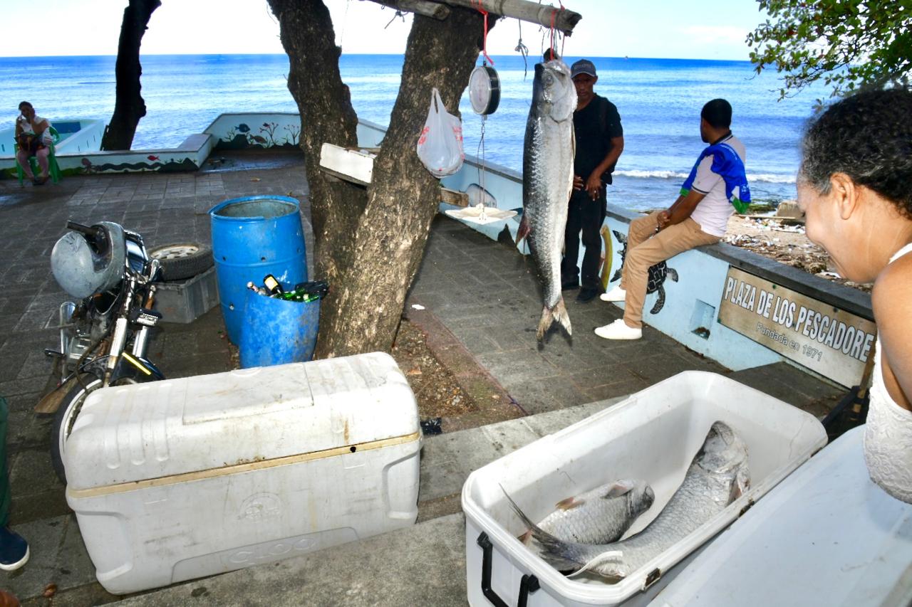 La Plaza de los Pescadores, un fuerte contra la contaminación marina