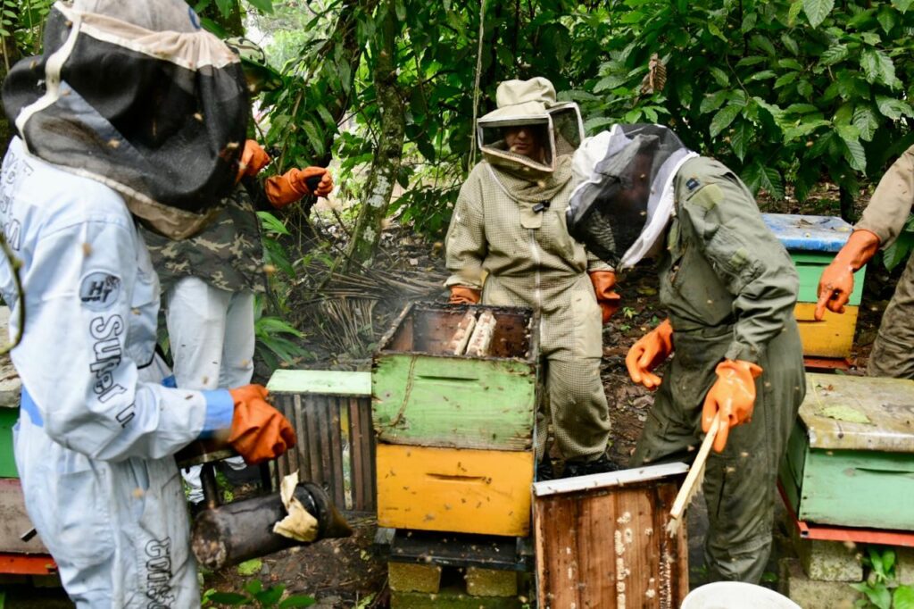La apicultura dominicana enfrenta desorganización y débil regulación estatal.