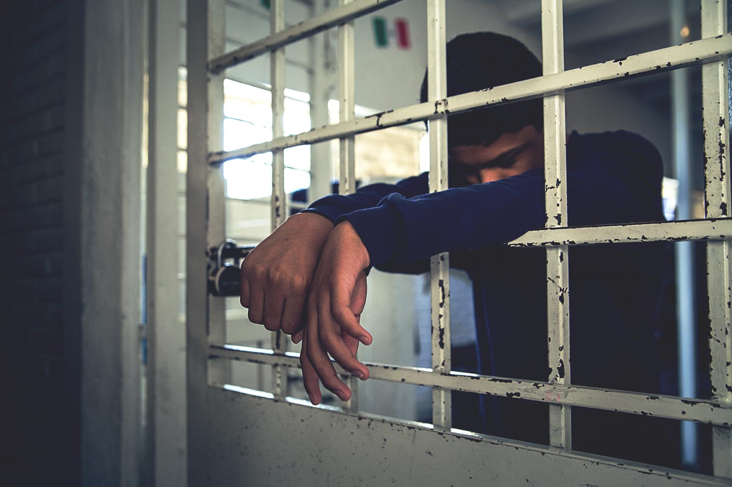 piden prisión para cinco jóvenes por crueldad animal