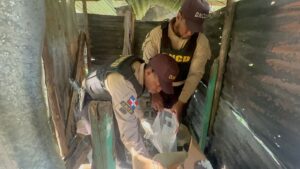 DNCD Boca Chica