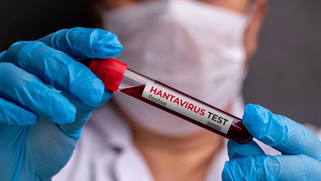 Identifican al posible “paciente cero” del brote de hantavirus en crucero