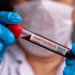 Identifican al posible “paciente cero” del brote de hantavirus en crucero