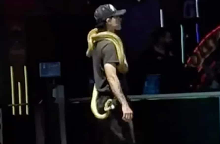 Domador de serpientes de Hollywood que dejó sus reptiles en el Paseo de la Fama.