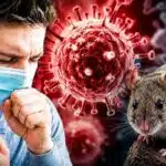 Panamá confirma primera muerte por hantavirus en lo que va de 2026