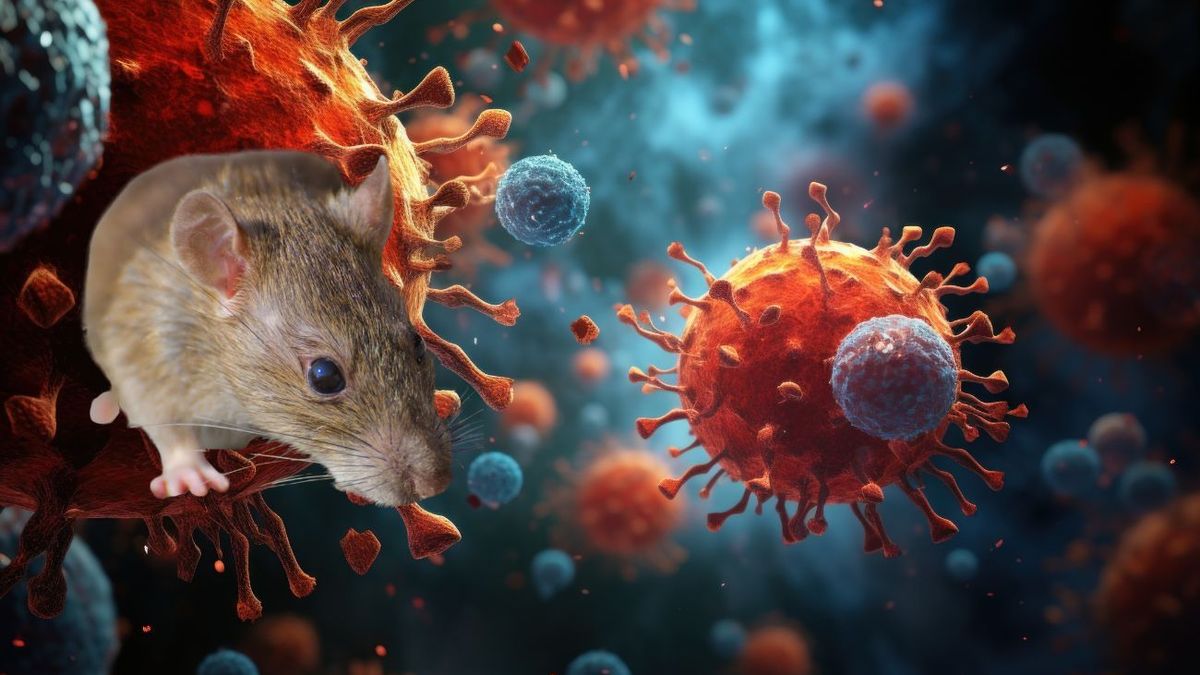 OMS confirma 5 casos de hantavirus y mantiene 4 sospechosos