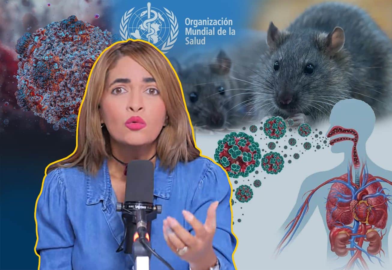 Nilda Alaniz "hantavirus".