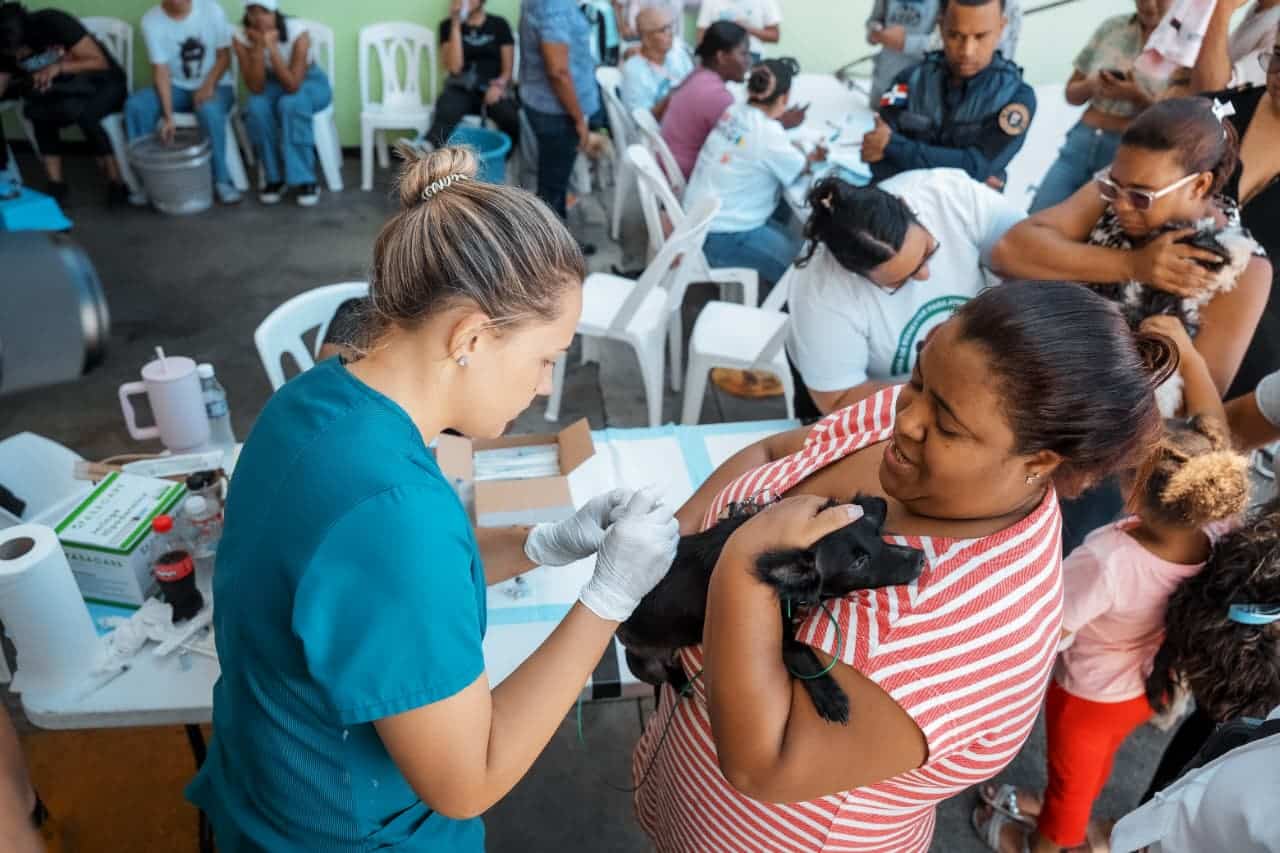 Esterilizan a 100 perros y gatos durante jornada de bienestar animal de la ADN