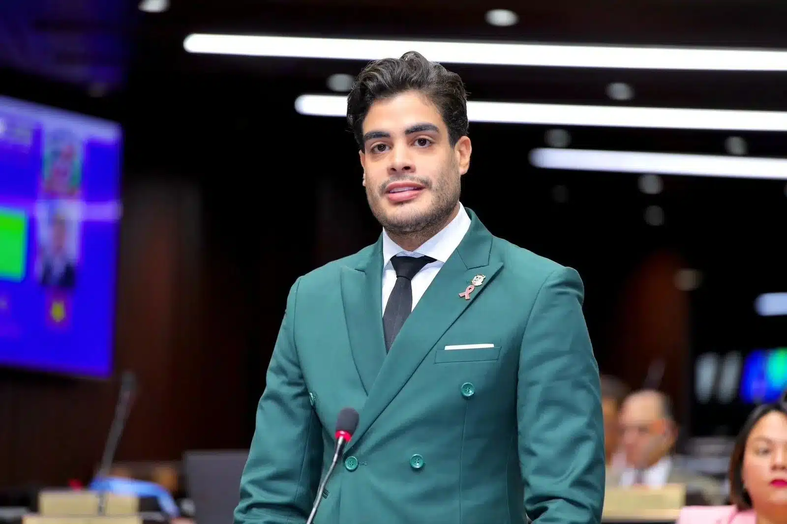 Bray Vargas, modelaje y política.