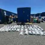 DNCD incautó 133 paquetes de cannabis en puerto de Hyena Oriental
