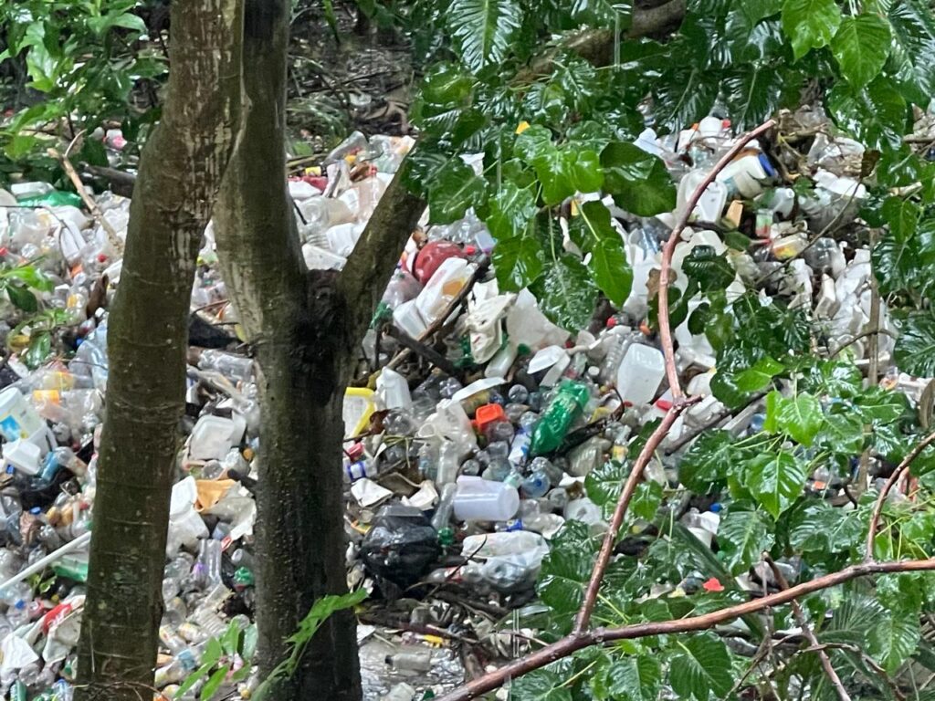 Cada lluvia revive el problema de las cañadas