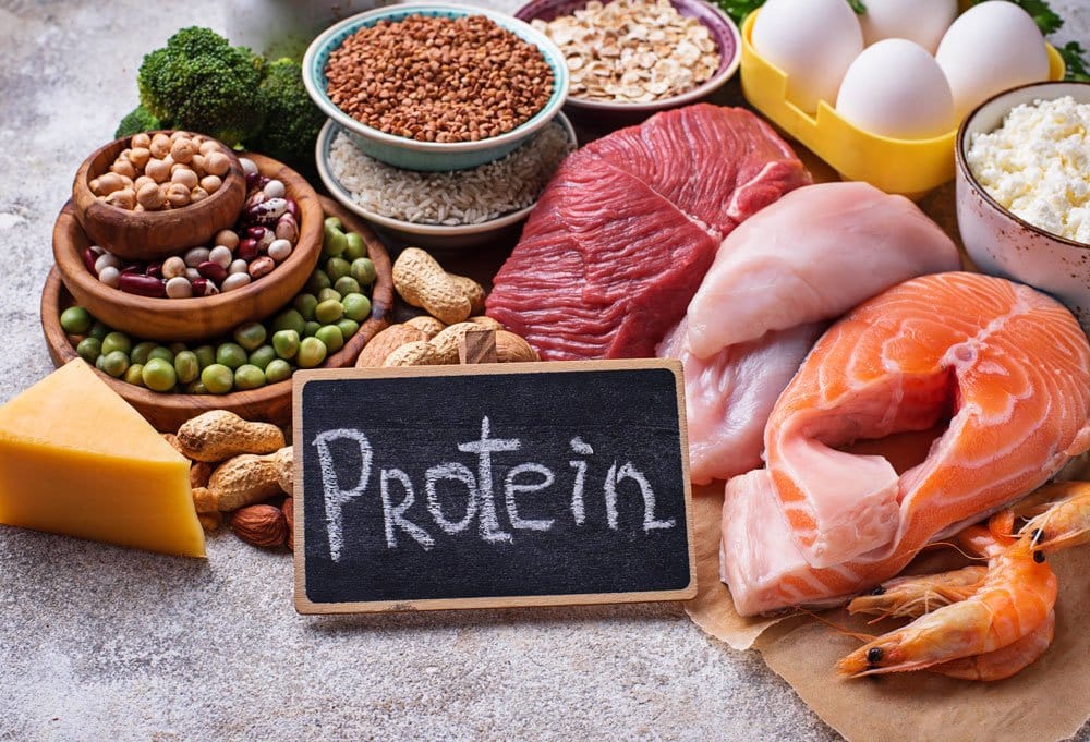 Con la proteína no basta: qué factores realmente impulsan el desarrollo muscular