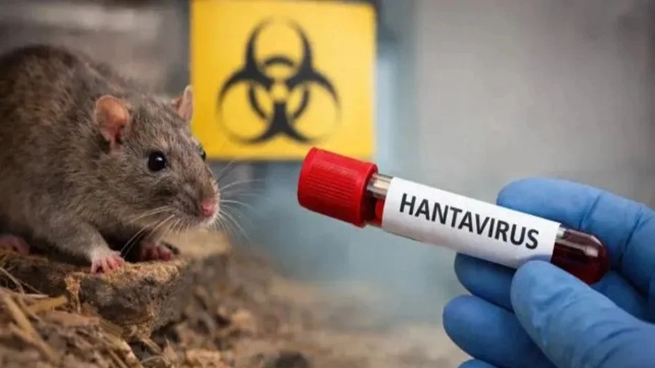 Hantavirus en un crucero: dos nuevos casos, cinco bajo sospecha y la búsqueda contrarreloj de los pasajeros de un vuelo
