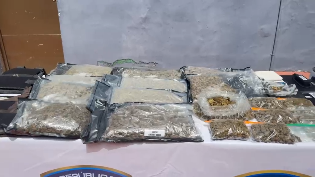 Drogas ocupadas por el Dicrim en el Ensanche Luperón.