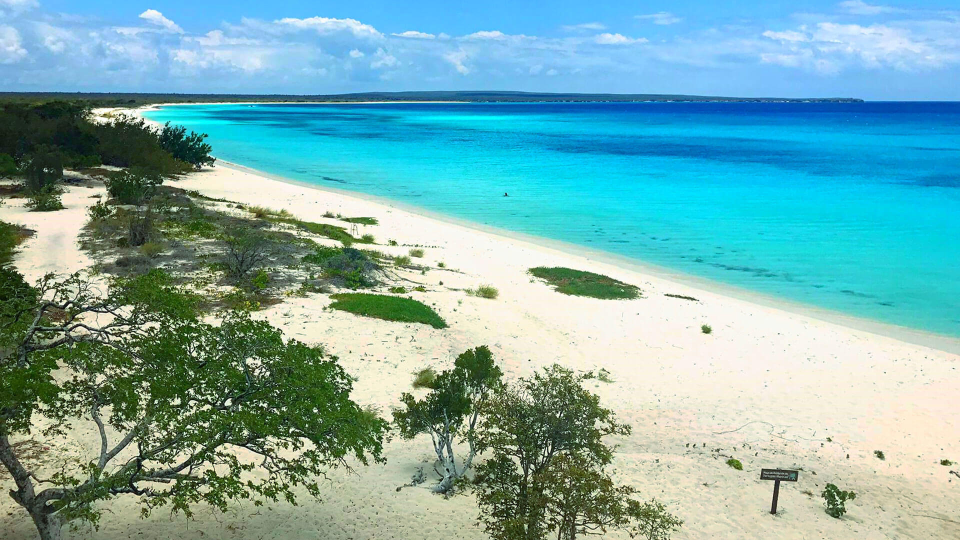 Fallece turista estadounidense tras ser impactada por embarcación mientras buceaba en Bahía de las Águilas