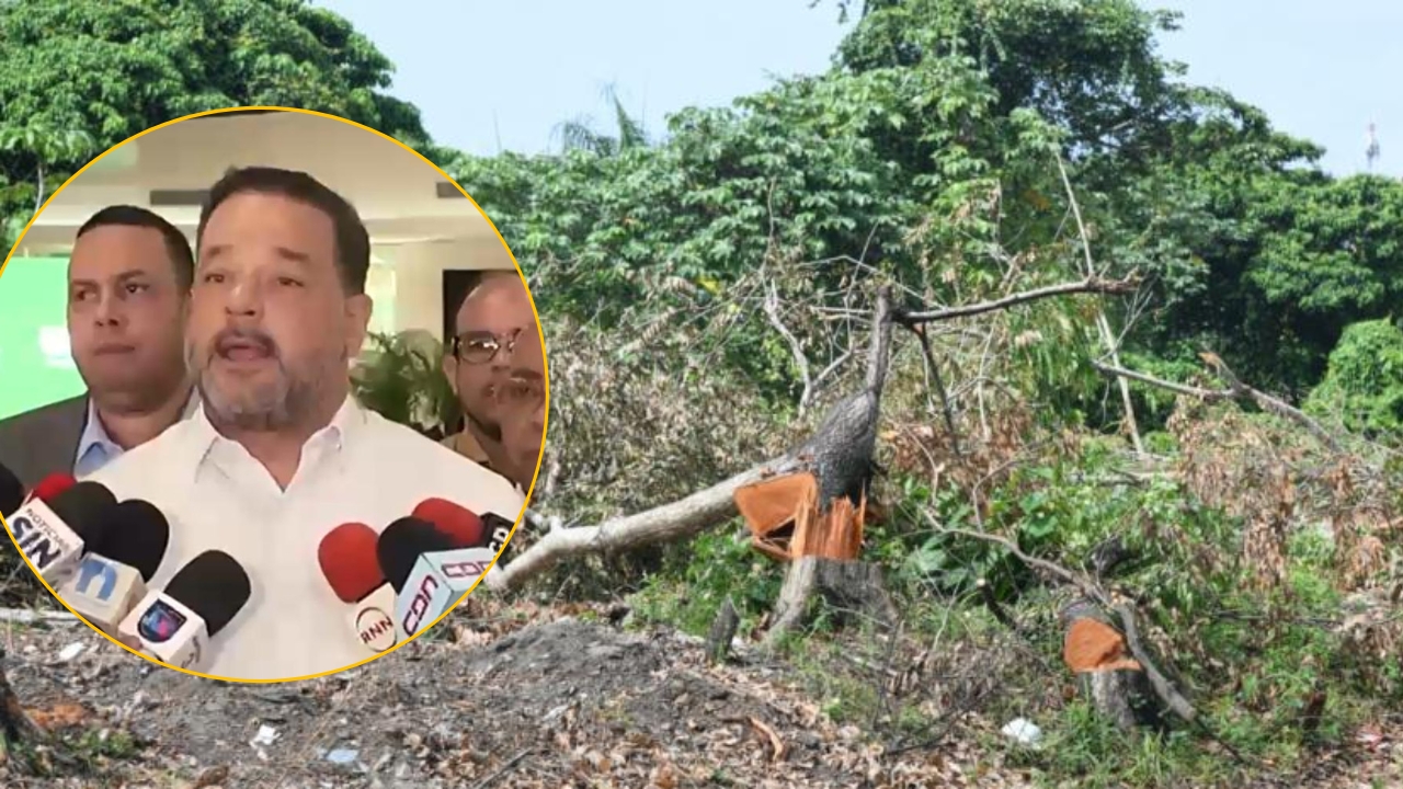 Ministro de Medio Ambiente habla sobre tala de árboles en la Autopista 6 de Noviembre.