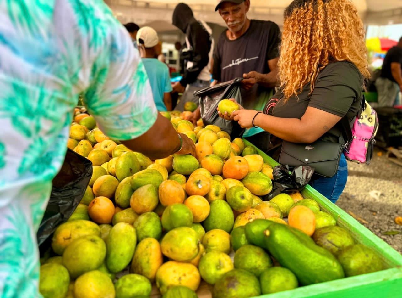 Mango