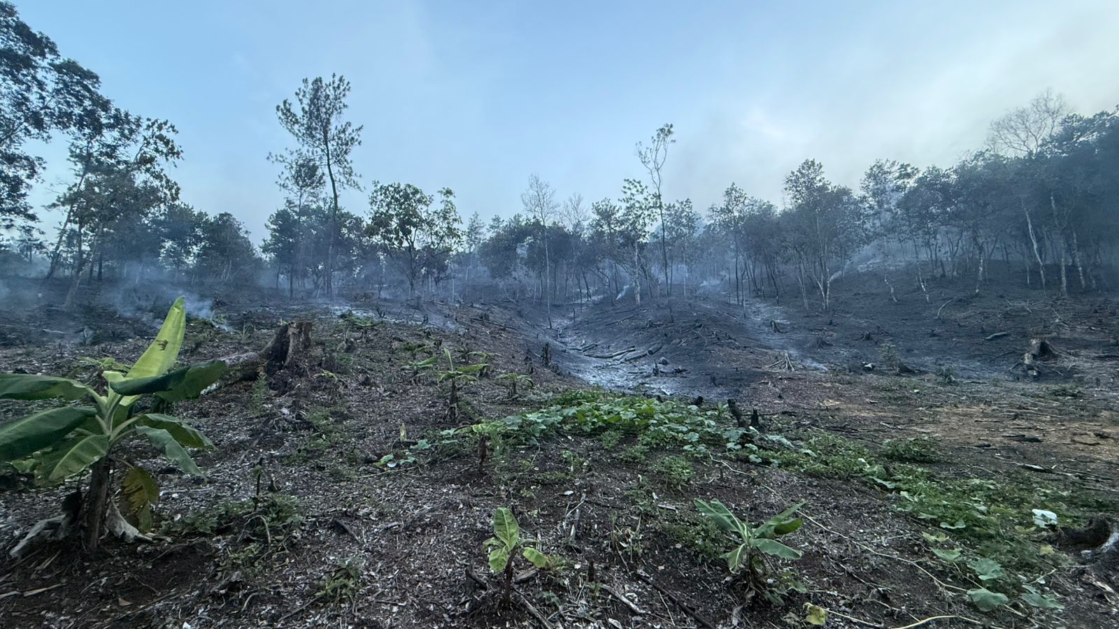 Controlado incendio en Bonao; brigadas actúan en Sierra de Bahoruco