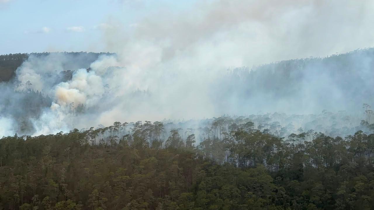 Marena y operativo de fuego forestal.