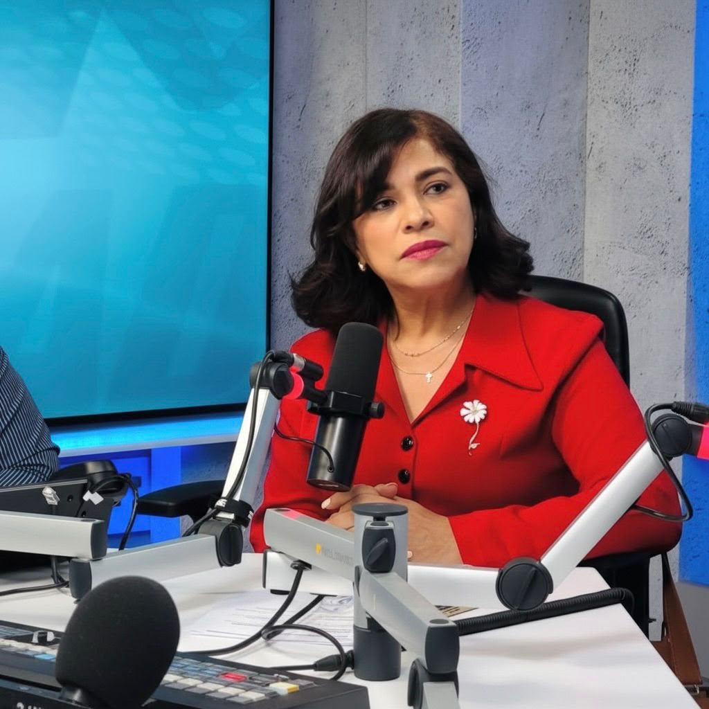 La secretaria de Seguridad Ciudadana de Fuerza del Pueblo, Josefina Reynoso,.