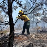 Un bombero trabaja en una línea de fuego en la Sierra de Bahoruco
