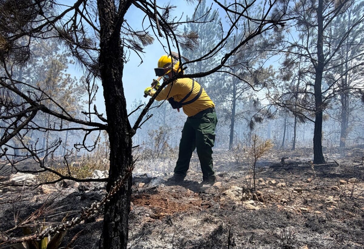 Un bombero trabaja en la línea de fuego en la Sierra de Bahoruco