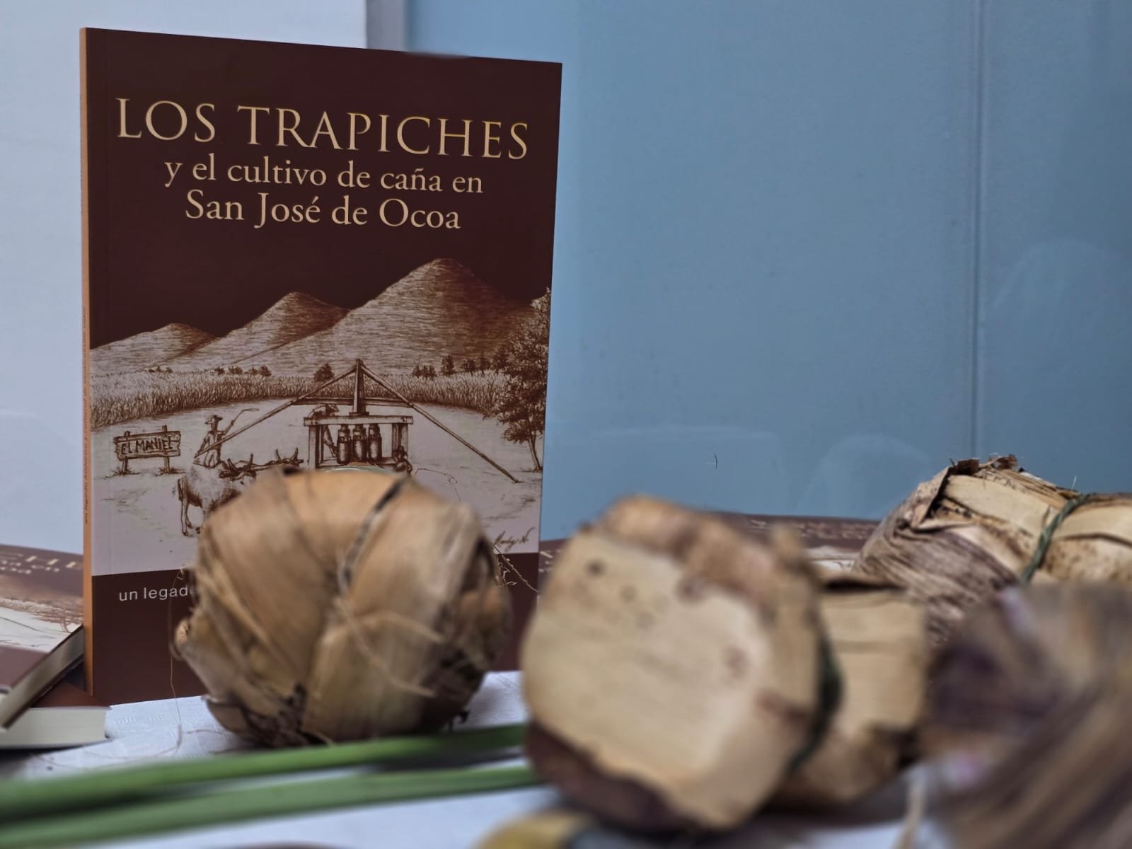 Libro “Los Trapiches y el cultivo de caña en San José de Ocoa” / Kayros Santiago